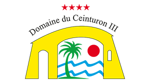 Logo Ceinturon 3